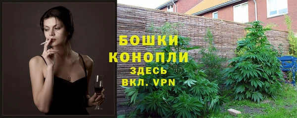 MESCALINE Михайлов