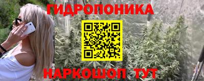круглые Гусев