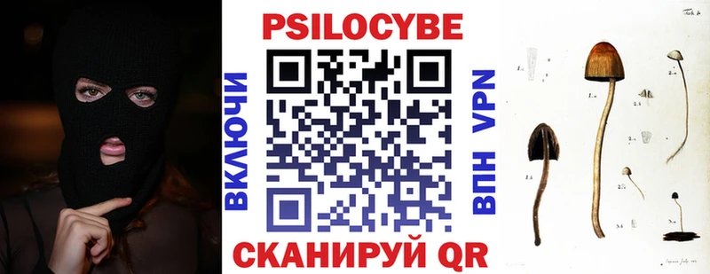 где купить наркотик  blacksprut ССЫЛКА  Псилоцибиновые грибы Magic Shrooms  Котельники 